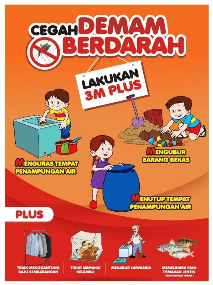 Waspada Demam Berdarah Dengue (DBD)